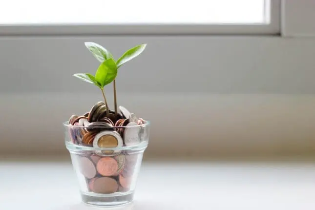 A sprout growing out of a cup of coins