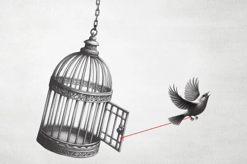 A bird flies out of an empty birdcage with a red piece of yard holding its leg to the open door