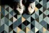 A pair of sneakers on a colorful, geometrically tiled floor