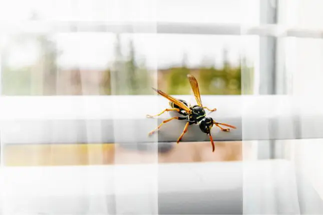 When the Room Becomes Your Co-therapist