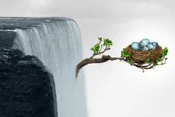 A branch shoots out of a waterfall holding a nest full of eggs