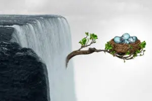 A branch shoots out of a waterfall holding a nest full of eggs