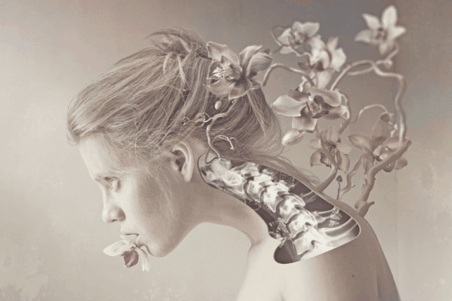 IFS for Self-Compassion