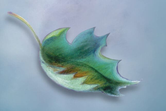 Illustration of a leaf falling through the air