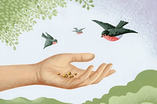 An illustration of a hand holding seeds as birds circle nearby