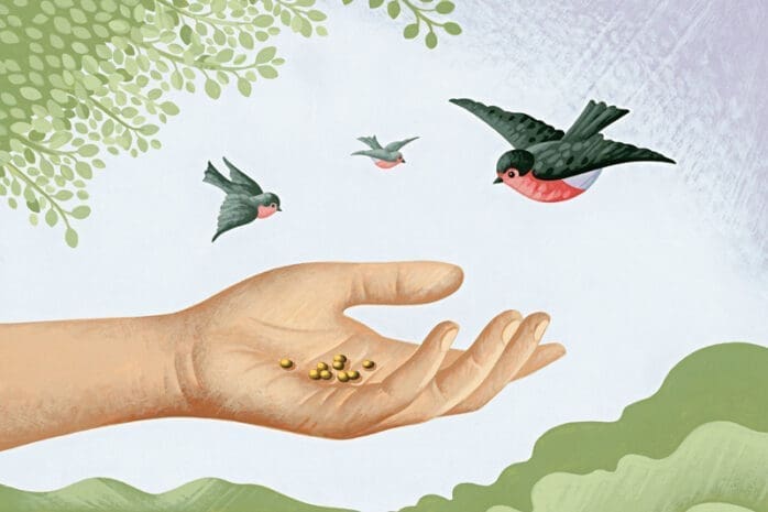 An illustration of a hand holding seeds as birds circle nearby