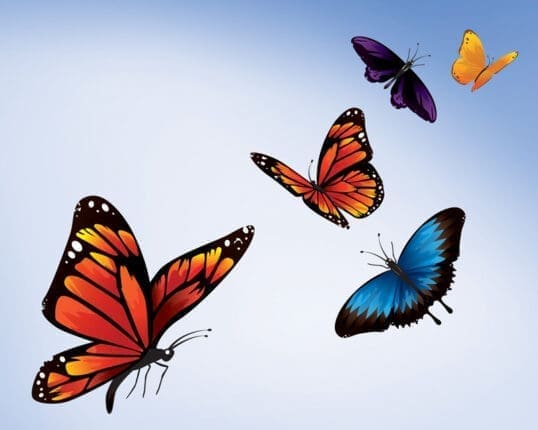 A group of butterflies