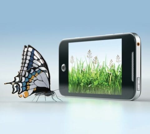 A butterfly approaches an iPhone with an image of grass onscreen