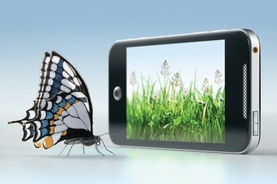 A butterfly approaches an iPhone with an image of grass onscreen