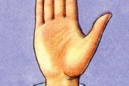 An illustration of an outstretched hand