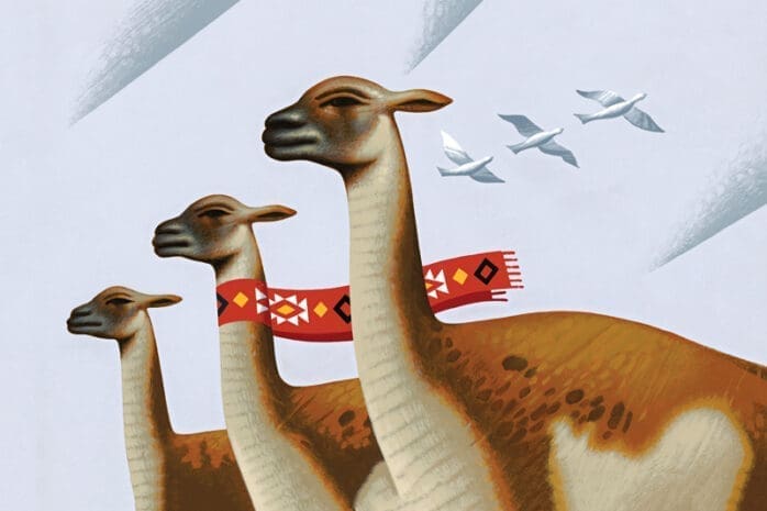 An illustration of guanacos