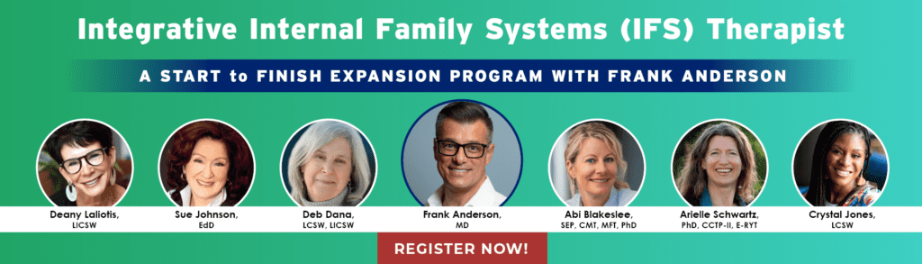 Frank Anderson's Integrated IFS Therapist Online Course