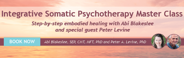 Integrative Somatic Psychotherapy Master Class 